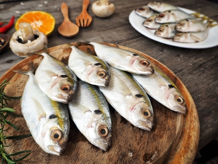 Fresh mackerel fish with spices on wood backgroundの写真素材