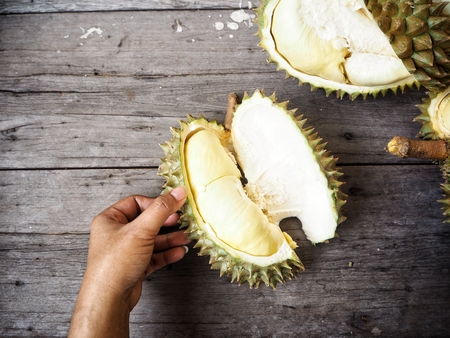 Durianの写真素材