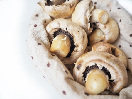 Champignon isolatedの写真素材