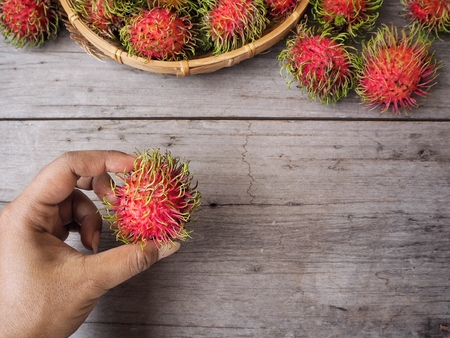 Rambutan fruit on handの写真素材