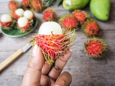 Rambutan fruit on handの写真素材