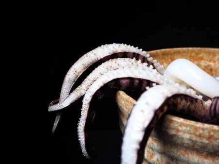 Fresh squid