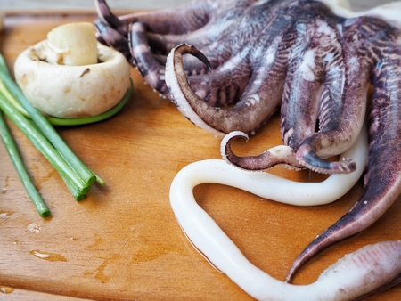 Fresh squidの写真素材