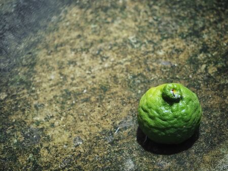 Fresh kaffirの写真素材