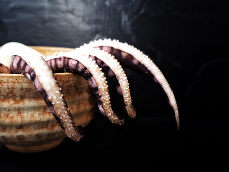 Fresh squid
