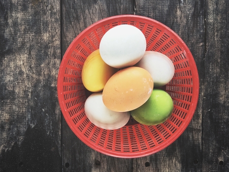 Colorful eggsの写真素材