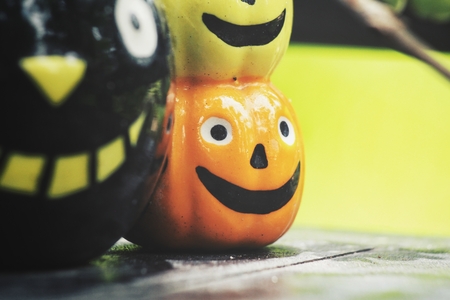 Pumpkin in halloween dayの写真素材