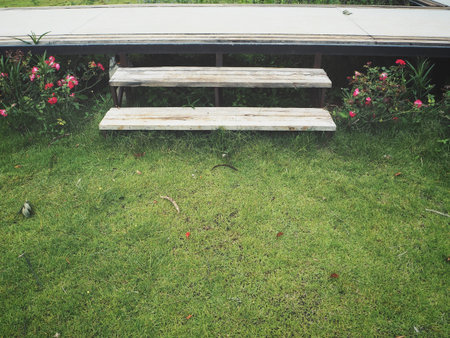 Staircases in the garden