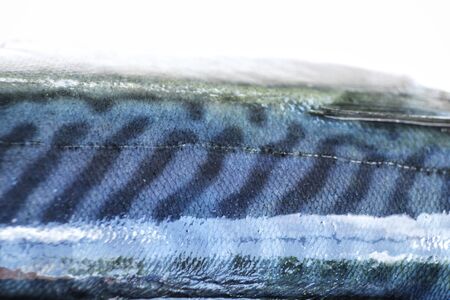 Mackerel fishの写真素材
