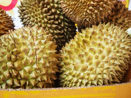 Durianの写真素材