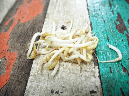 Bean sproutsの写真素材