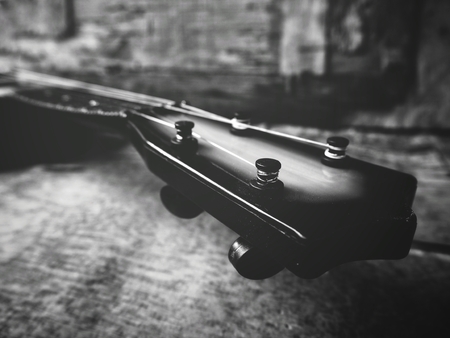 Ukuleleの写真素材