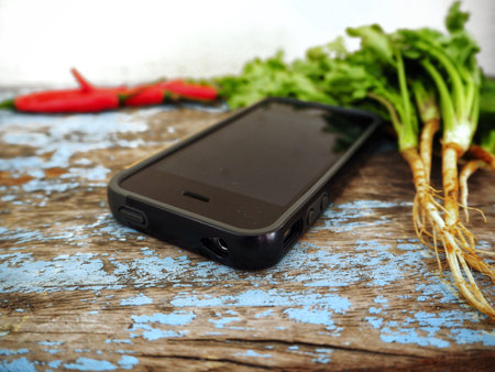 Coriander with smart phoneの写真素材