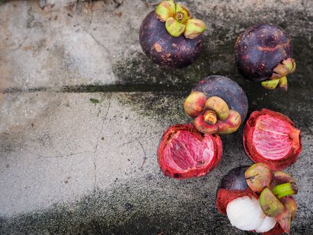 Mangosteenの写真素材