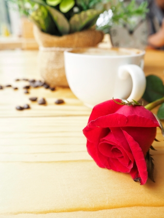 Coffee cup and beans with red rose in valentines dayの写真素材