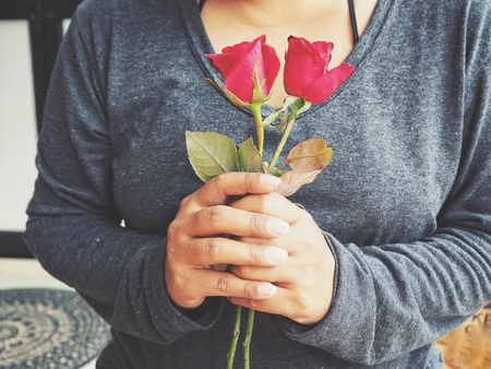 Red roses on hands in valentines dayの写真素材