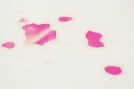 Blurred of watercolor on paperの写真素材