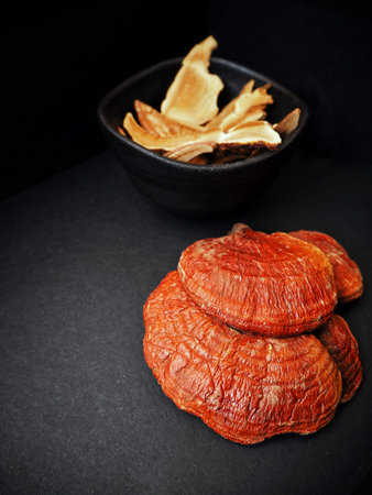 Ganoderma Lucidum - ling zhi mushroom on black backgroundの写真素材
