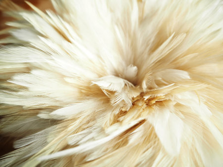 White feathers