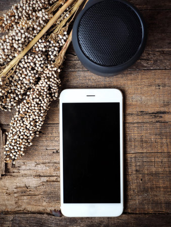 Bluetooth speaker with smart phoneの写真素材