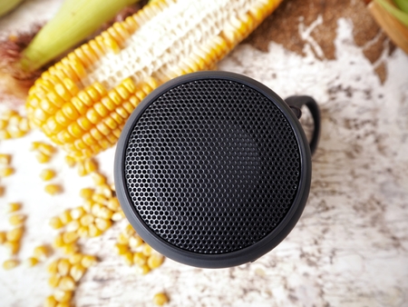 Bluetooth speaker with dried cornsの写真素材