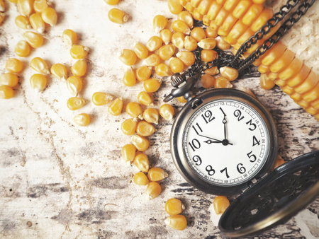 Vintage watch pocket with dried corns