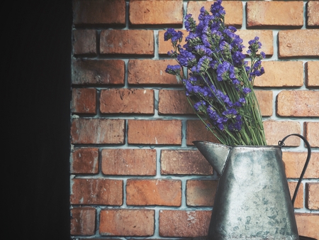 Dry purple flowersの写真素材