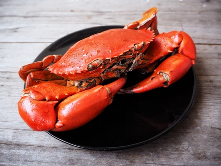 Fresh crabの写真素材