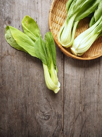 Bok choy chinese cabbageの写真素材