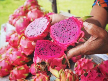 Dragon fruitの写真素材