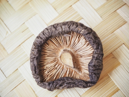 Shiitake mushroomsの写真素材