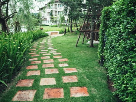 Walkway in the gardenの写真素材