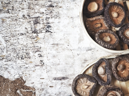 Shiitake mushroomsの写真素材