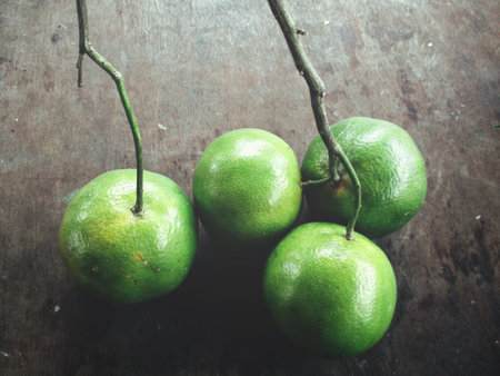 Lemon