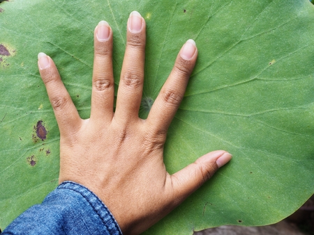 Five fingersの写真素材