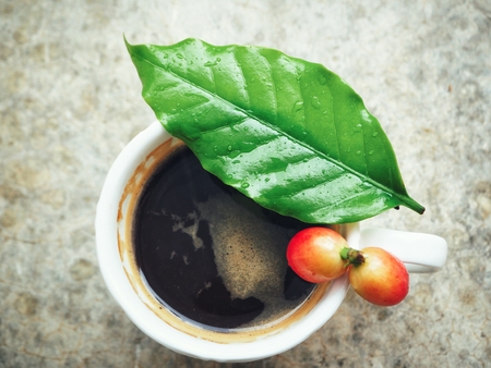 Espresso coffee with beansの写真素材