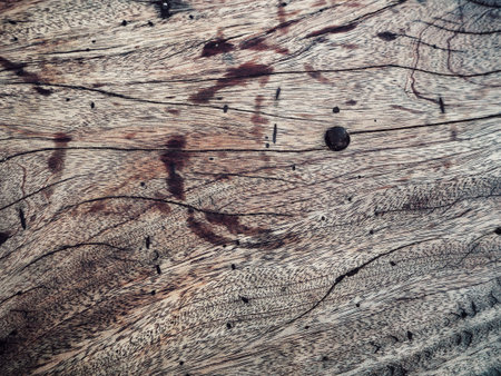 Wood backgroundの写真素材