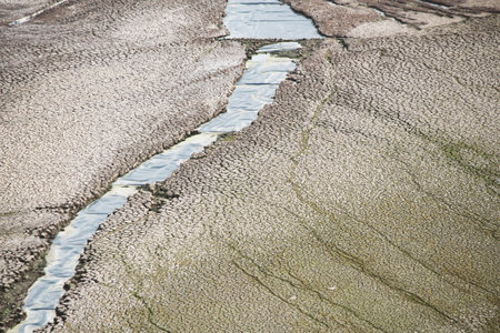 Cracked dry soil with water