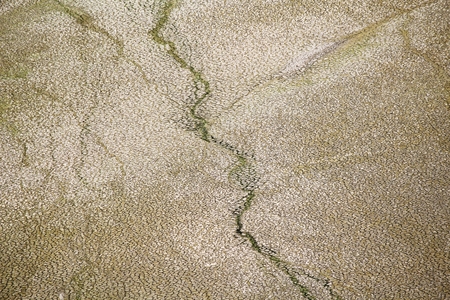 Cracked dry soilの写真素材