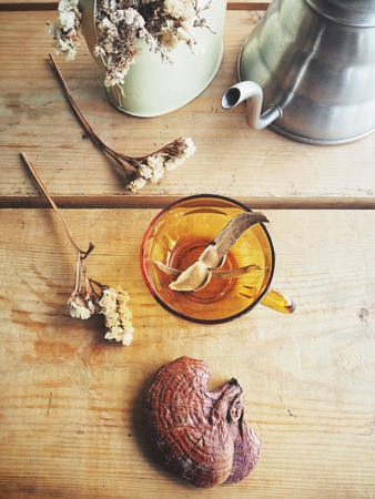Ganoderma lucidum tea - Ling zhi mushroomの写真素材