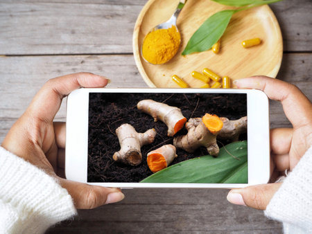 Taking a photo of turmeric with smart phoneの写真素材
