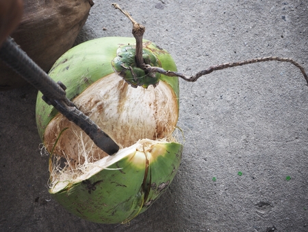 Coconutの写真素材