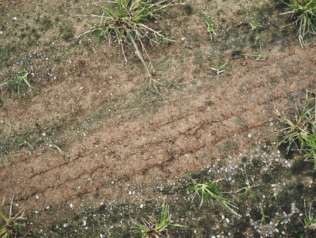 Wheel tracks on the soil