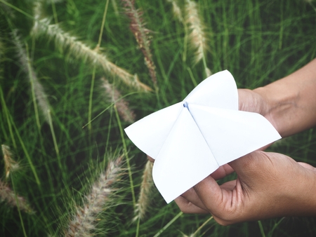 Paper fortune teller on hands with grass flowersの写真素材