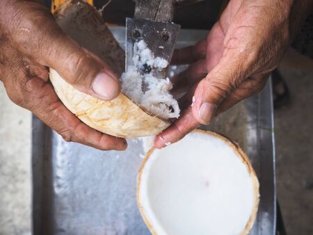 Coconut halfの写真素材