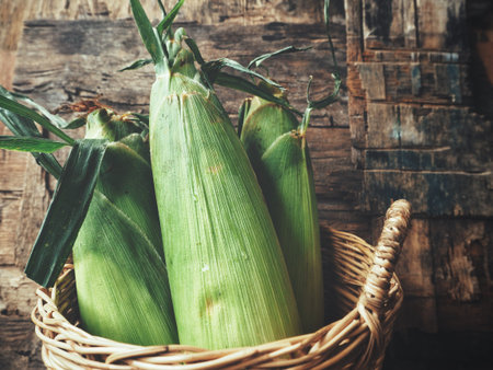 Fresh corn in the basketの写真素材