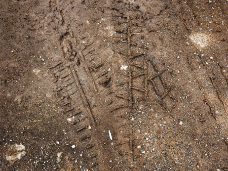 Wheel tracks on the soil