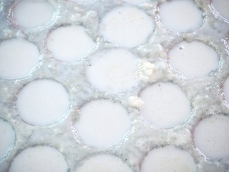 Coconut milk mix sugar and flour