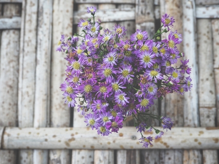 Dry flowers on the vaseの写真素材
