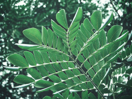 Green leaves